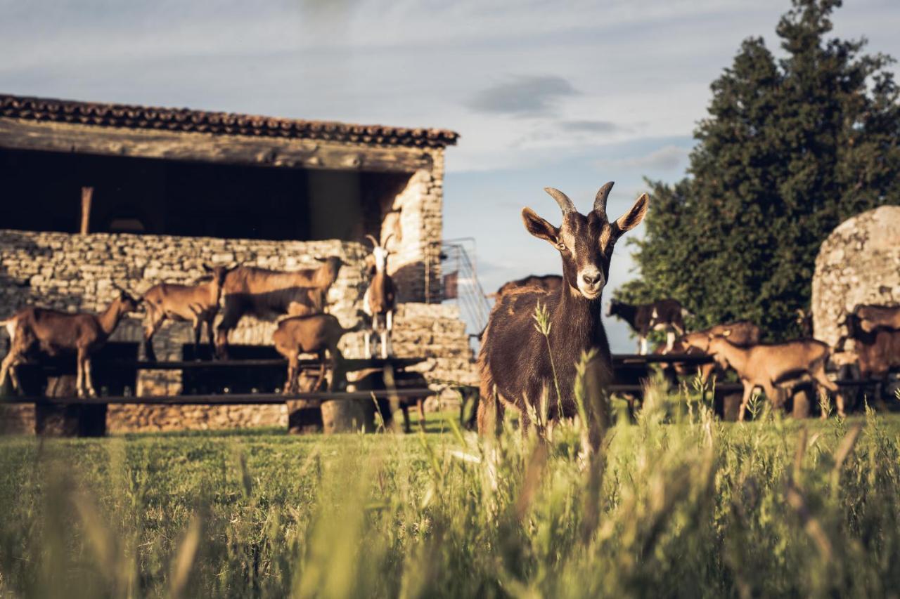 Le Domaine Du Castellas Sivergues Exterior photo