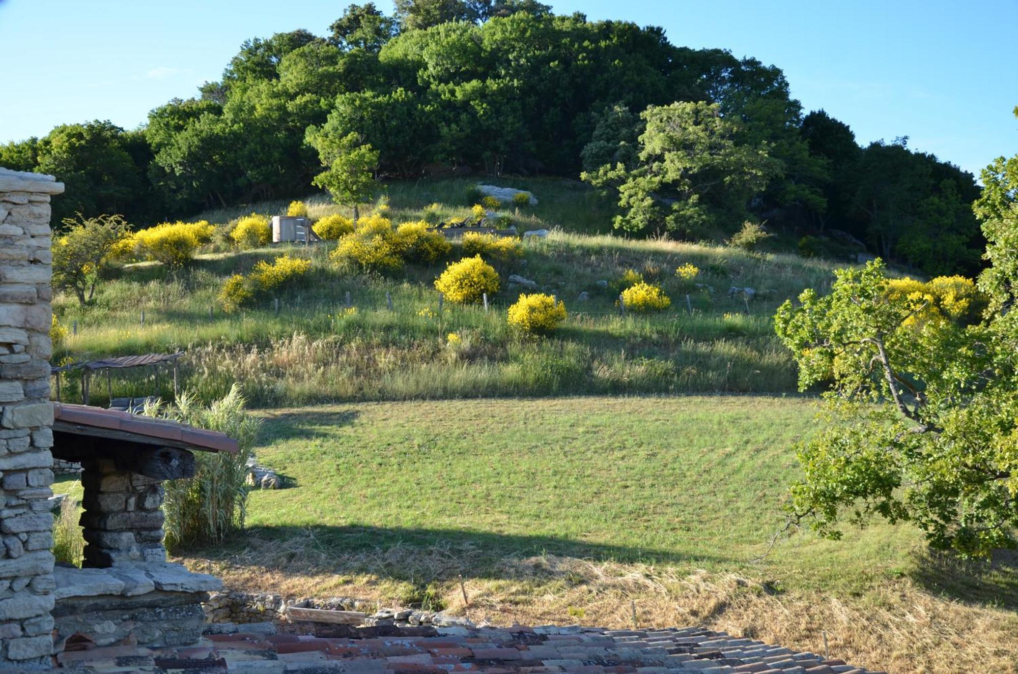 Le Domaine Du Castellas Sivergues Exterior photo